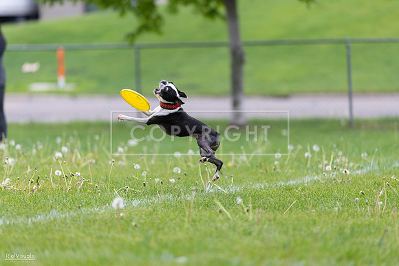 RielVisuals_20260518_172240_SJR_9678