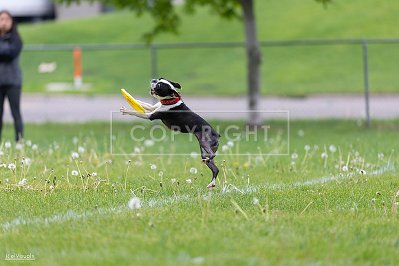 RielVisuals_20260518_172240_SJR_9679