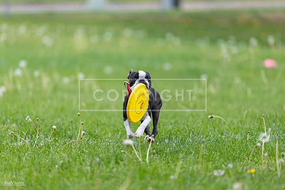 RielVisuals_20260518_172246_SJR_9751