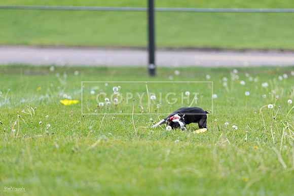 RielVisuals_20260518_172301_SJR_9788