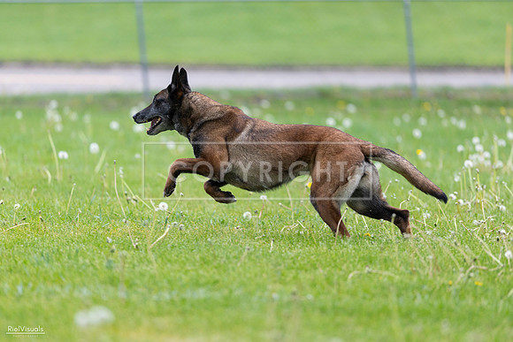 RielVisuals_20260518_172429_SJR_9792