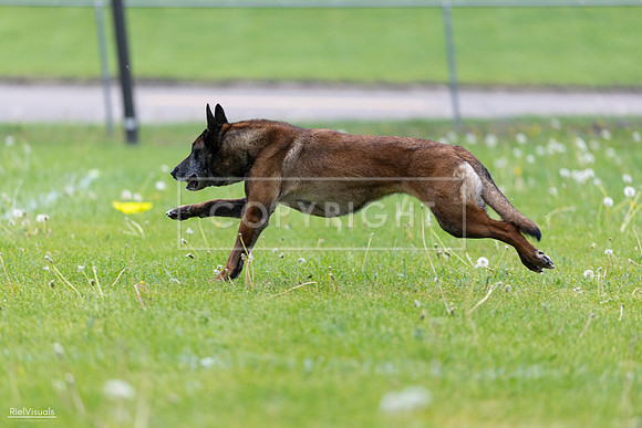 RielVisuals_20260518_172429_SJR_9796