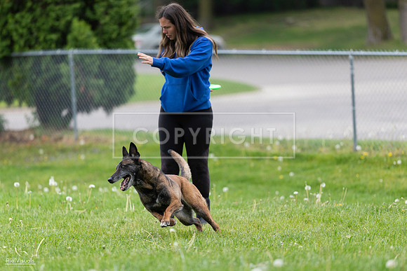 RielVisuals_20260518_172450_SJR_9867