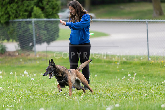 RielVisuals_20260518_172450_SJR_9869