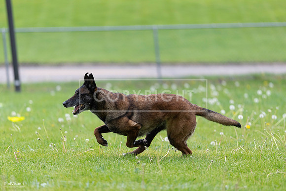 RielVisuals_20260518_172456_SJR_9883