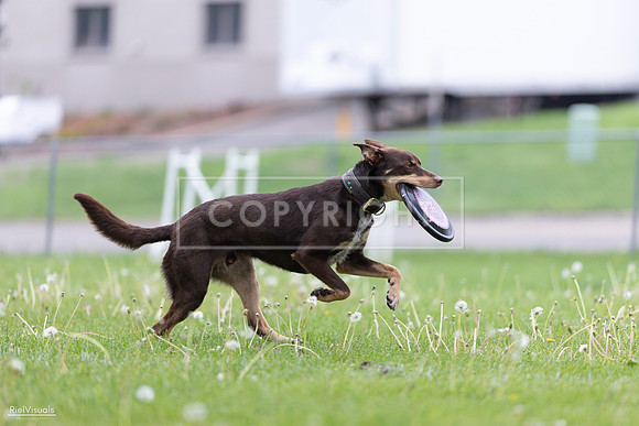 RielVisuals_20260518_172910_SJR_0086