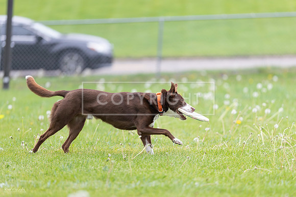 RielVisuals_20260518_172723_SJR_0011