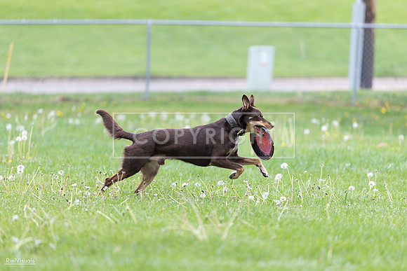 RielVisuals_20260518_172835_SJR_0034