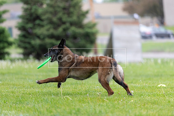 RielVisuals_20260518_172457_SJR_9931