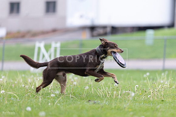 RielVisuals_20260518_172910_SJR_0087