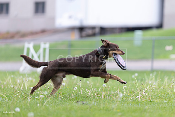 RielVisuals_20260518_172910_SJR_0088
