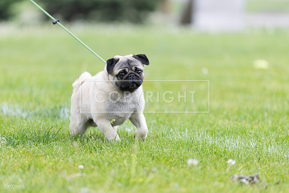 RielVisuals_20260518_172953_SJR_0124