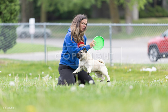 RielVisuals_20260518_173023_SJR_0160