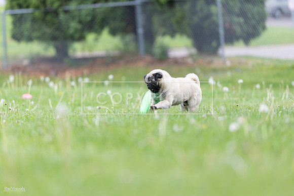 RielVisuals_20260518_173035_SJR_0174
