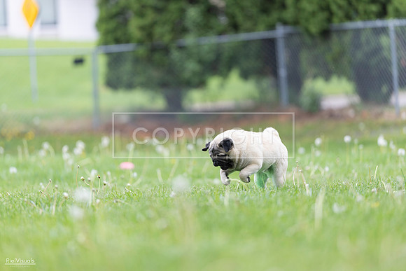 RielVisuals_20260518_173035_SJR_0185