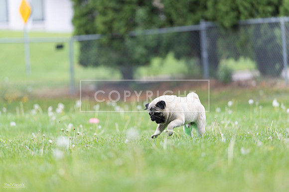 RielVisuals_20260518_173035_SJR_0186