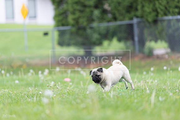 RielVisuals_20260518_173035_SJR_0190
