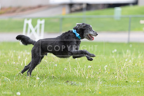 RielVisuals_20260518_173327_SJR_0343