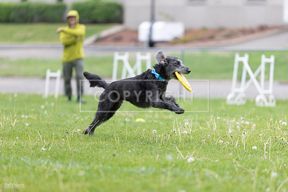 RielVisuals_20260518_173336_SJR_0412