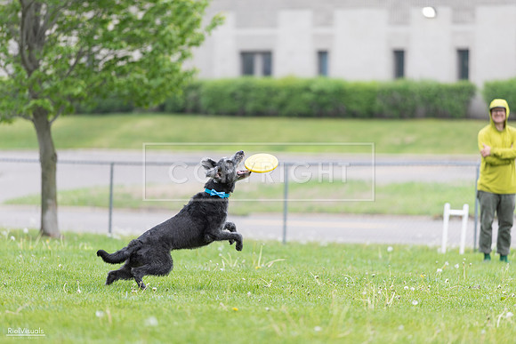 RielVisuals_20260518_173334_SJR_0386