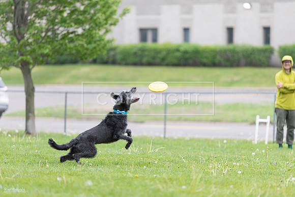 RielVisuals_20260518_173334_SJR_0385