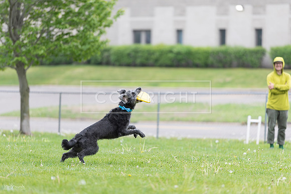 RielVisuals_20260518_173334_SJR_0387