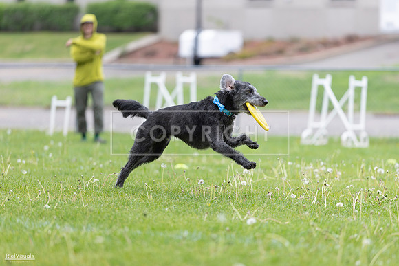 RielVisuals_20260518_173336_SJR_0413
