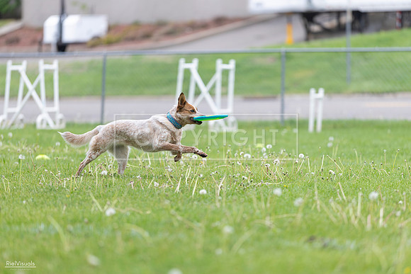RielVisuals_20260518_173528_SJR_0600