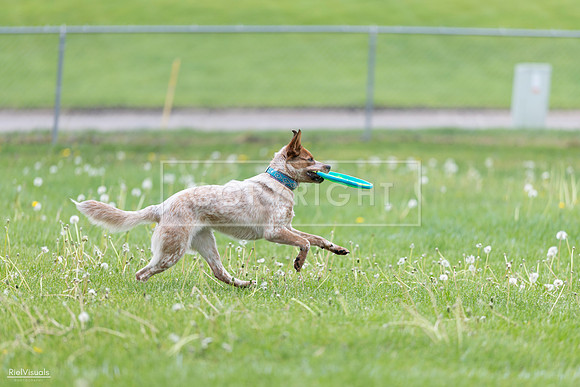 RielVisuals_20260518_173529_SJR_0609