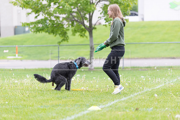 RielVisuals_20260518_173358_SJR_0539