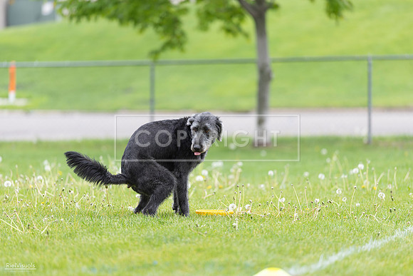 RielVisuals_20260518_173352_SJR_0498