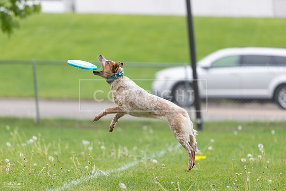 RielVisuals_20260518_173604_SJR_0666