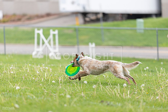RielVisuals_20260518_173605_SJR_0687