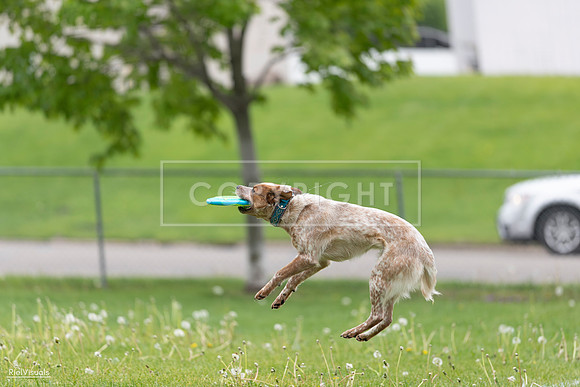 RielVisuals_20260518_173604_SJR_0671