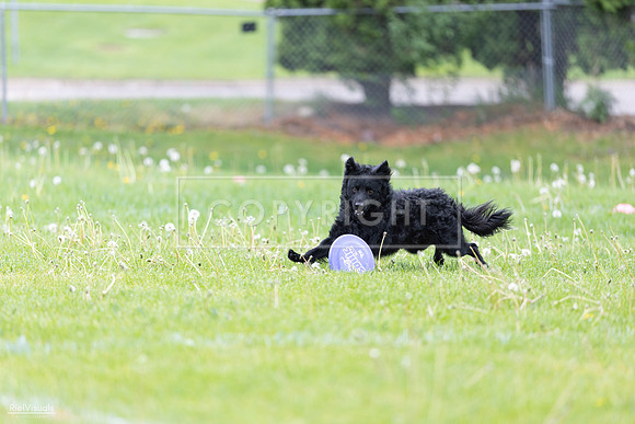 RielVisuals_20260518_173753_SJR_0726