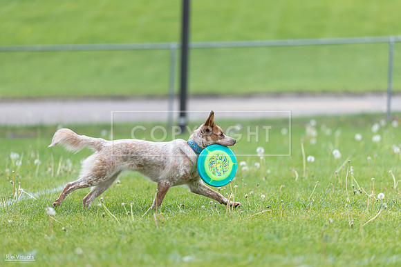 RielVisuals_20260518_173610_SJR_0702