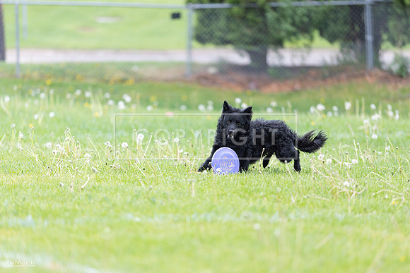 RielVisuals_20260518_173753_SJR_0727