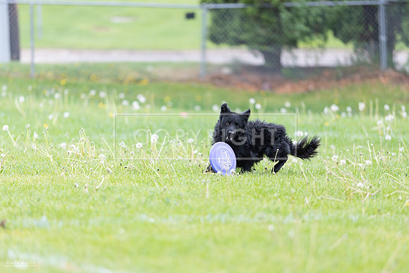 RielVisuals_20260518_173753_SJR_0728
