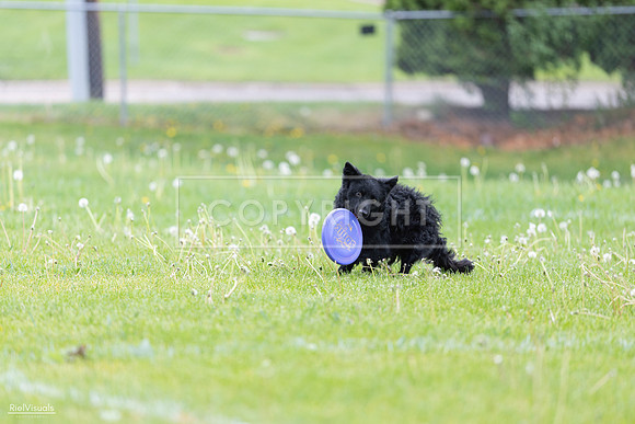 RielVisuals_20260518_173753_SJR_0731
