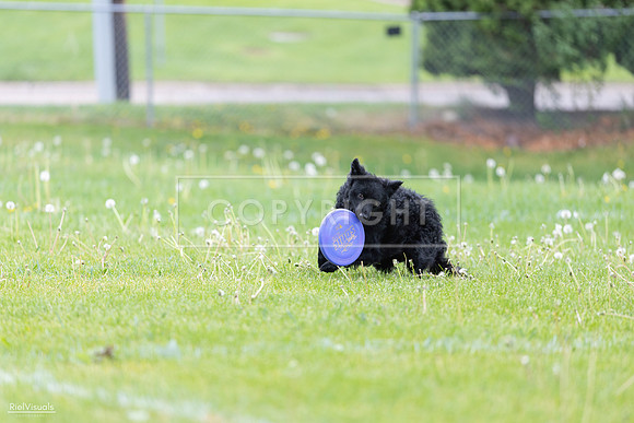 RielVisuals_20260518_173753_SJR_0732
