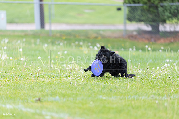 RielVisuals_20260518_173753_SJR_0733