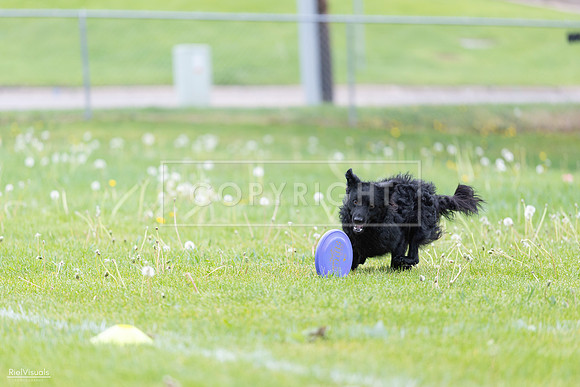 RielVisuals_20260518_173753_SJR_0740