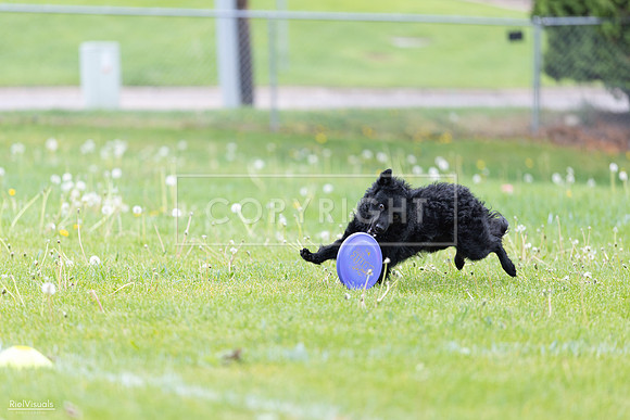 RielVisuals_20260518_173753_SJR_0736