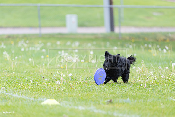 RielVisuals_20260518_173753_SJR_0742