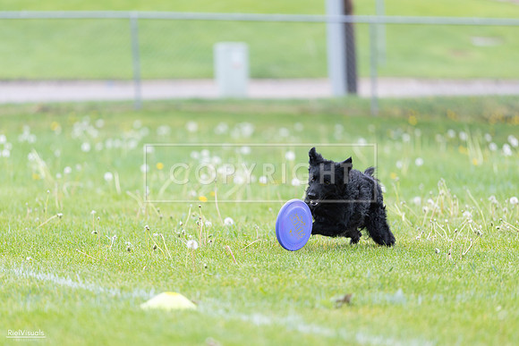 RielVisuals_20260518_173753_SJR_0743
