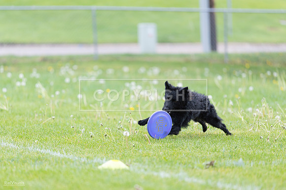 RielVisuals_20260518_173753_SJR_0745