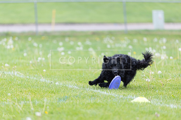 RielVisuals_20260518_173753_SJR_0754