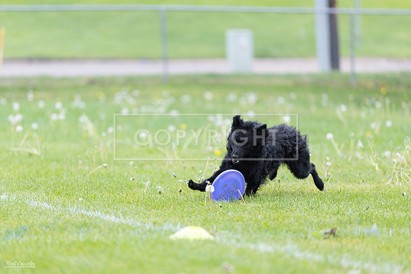 RielVisuals_20260518_173753_SJR_0747