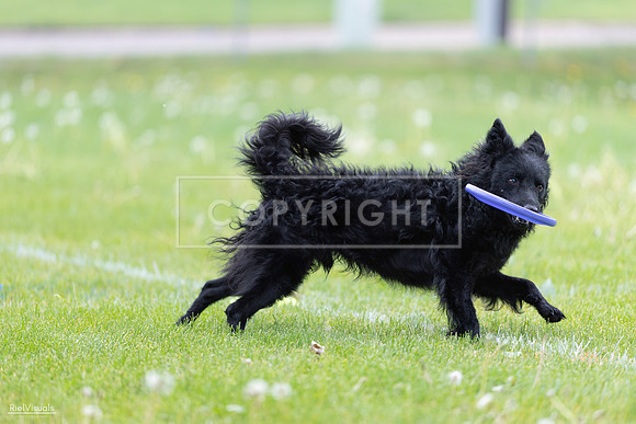 RielVisuals_20260518_173754_SJR_0771