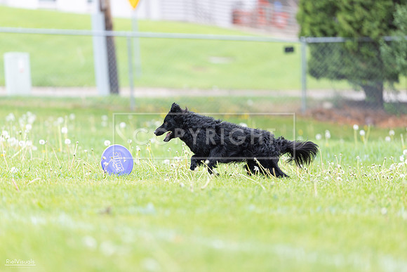RielVisuals_20260518_173818_SJR_0824